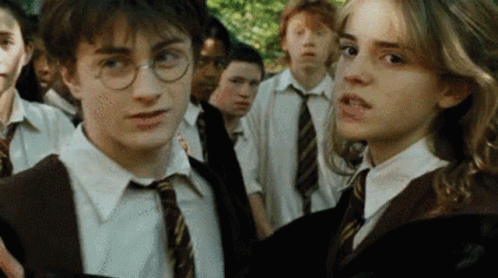 harry potter and hermione granger are standing next to each other in front of a group of children .