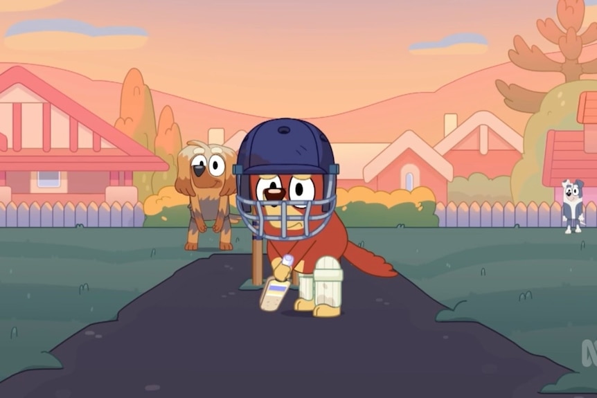 Bluey's cricket episode perfectly encapsulates the meaning of the game - ABC News